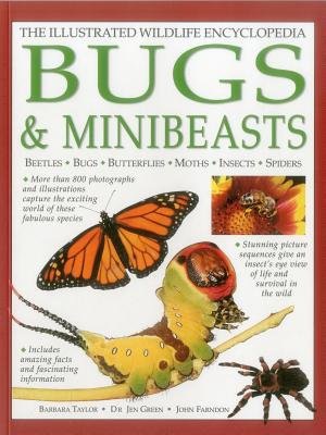 Illustrated Wildlife Encyclopedia: Bugs a Minibeasts