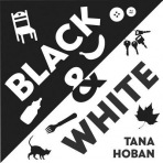 Black a White Board Book