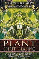 Plant Spirit Healing