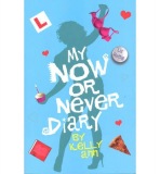 My Now or Never Diary