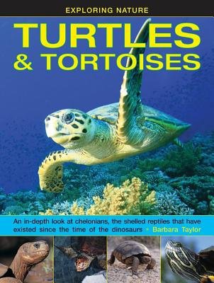 Exploring Nature: Turtles a Tortoises