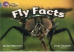 Fly Facts