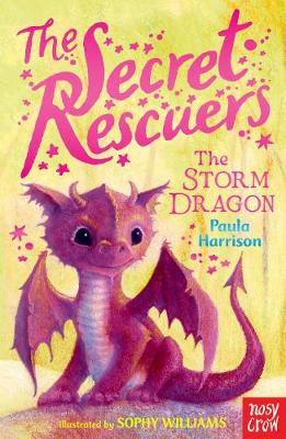 Secret Rescuers: The Storm Dragon