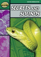 Rapid Reading: Secrets a Sounds (Stage 5, Level 5B)