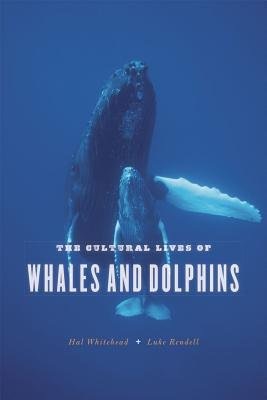 Cultural Lives of Whales and Dolphins