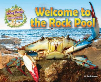 Welcome to the Rock Pool