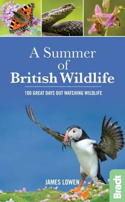 Summer of British Wildlife