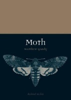 Moth