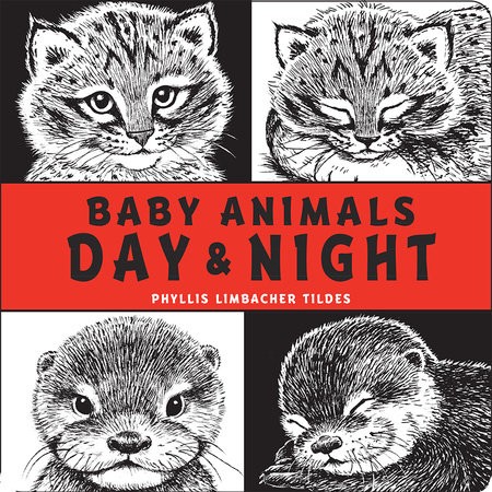 Baby Animals Day a Night