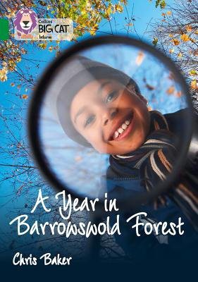 Year in Barrowswold Forest
