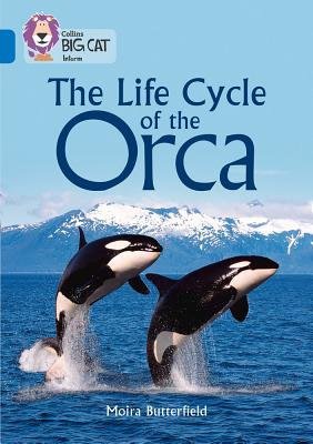 Life Cycle of the Orca