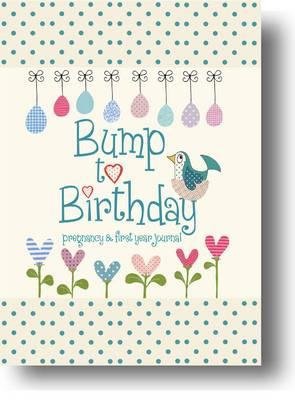Bump to Birthday, Pregnancy a First Year Journal