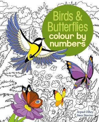 Birds a Butterflies Colour by Numbers