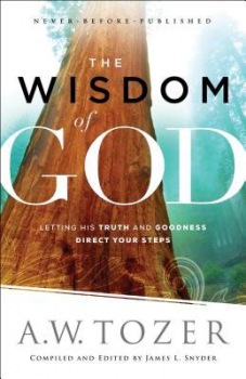 Wisdom of God – Letting His Truth and Goodness Direct Your Steps