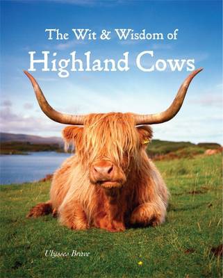 Wit a Wisdom of Highland Cows