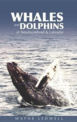 Whales a Dolphins of Newfoundland a Labrador