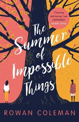 Summer of Impossible Things