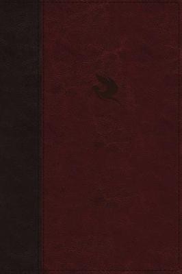 NKJV, Spirit-Filled Life Bible, Third Edition, Leathersoft, Burgundy, Red Letter, Comfort Print