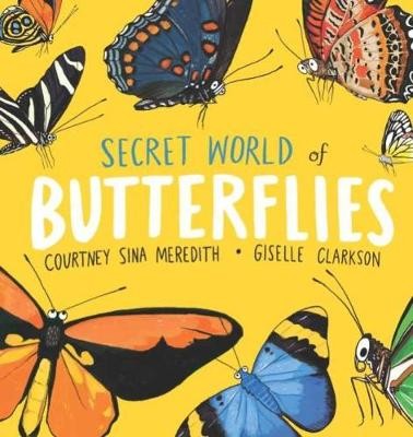 Secret World of Butterflies