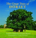 Great Trees of Dorset