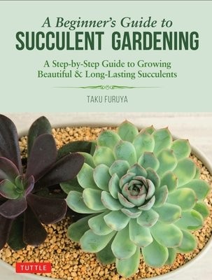 Beginner's Guide to Succulent Gardening