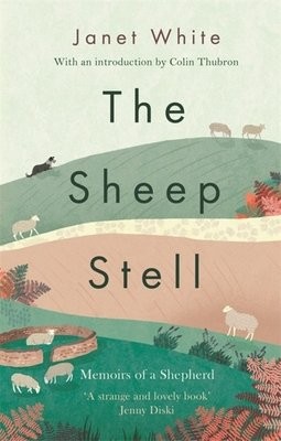 Sheep Stell