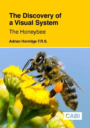 Discovery of a Visual System - The Honeybee, The