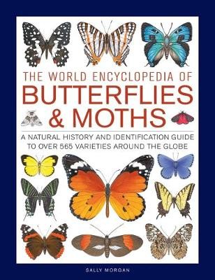 Butterflies a Moths, The World Encyclopedia of