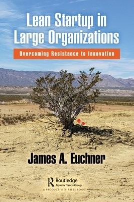 Lean Startup in Large Organizations