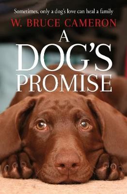 Dog's Promise