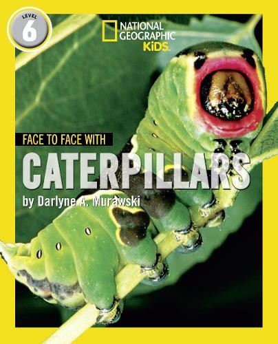 Face to Face with Caterpillars
