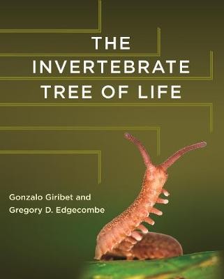 Invertebrate Tree of Life