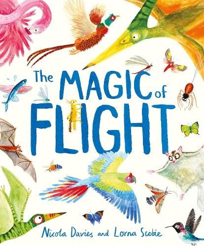 Magic of Flight