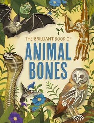 Brilliant Book of Animal Bones