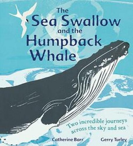 Sea Swallow and the Humpback Whale
