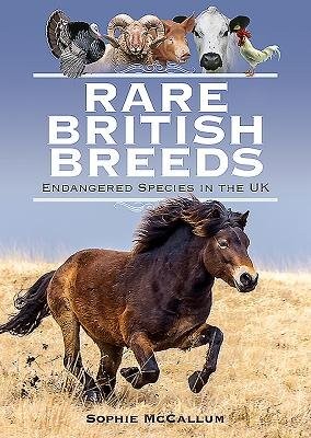 Rare British Breeds