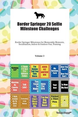 Border Springer 20 Selfie Milestone Challenges Border Springer Milestones for Memorable Moments, Socialization, Indoor a Outdoor Fun, Training Volume