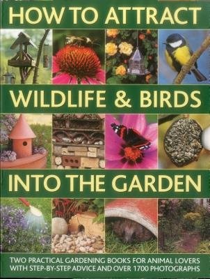How to Attract Wildlife a Birds into the Garden