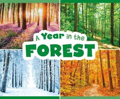 Year in the Forest