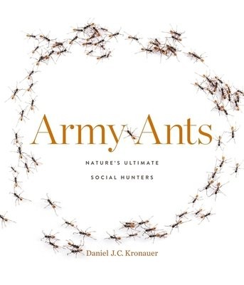 Army Ants