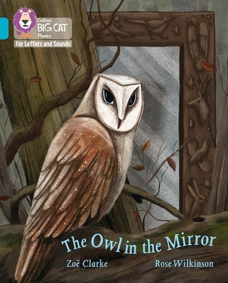 Owl in the Mirror