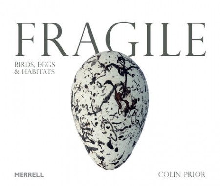 Fragile: Birds, Eggs a Habitats