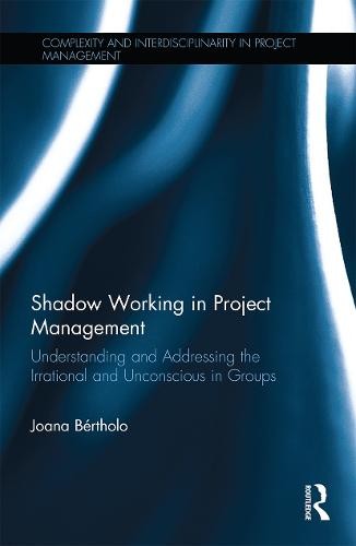 Shadow Working in Project Management