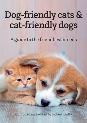 Dog-friendly cats a cat-friendly dogs