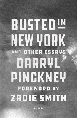 Busted in New York a Other Essays