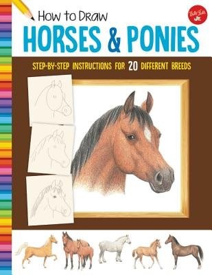 How to Draw Horses a Ponies
