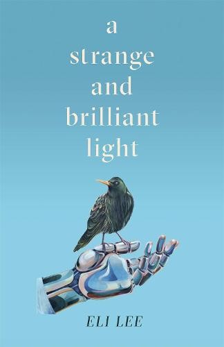 Strange and Brilliant Light: Winner of the Writers’ Guild Best First Novel Award