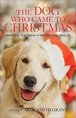 Dog Who Came to Christmas - And Other True Stories of the Gifts Dogs Bring Us
