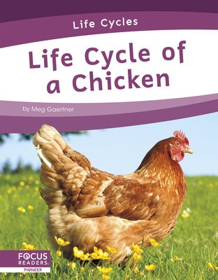 Life Cycles: Life Cycle of a Chicken
