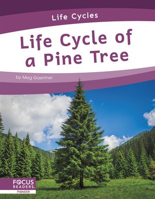 Life Cycles: Life Cycle of a Pine Tree